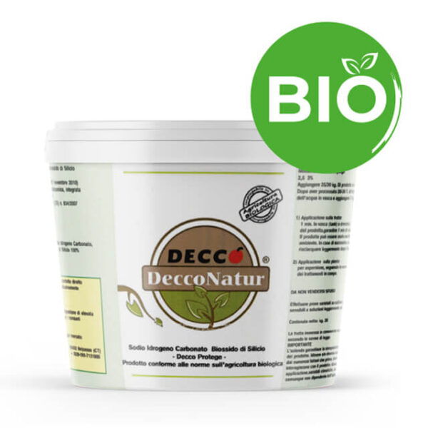 DECCO PROTEGE